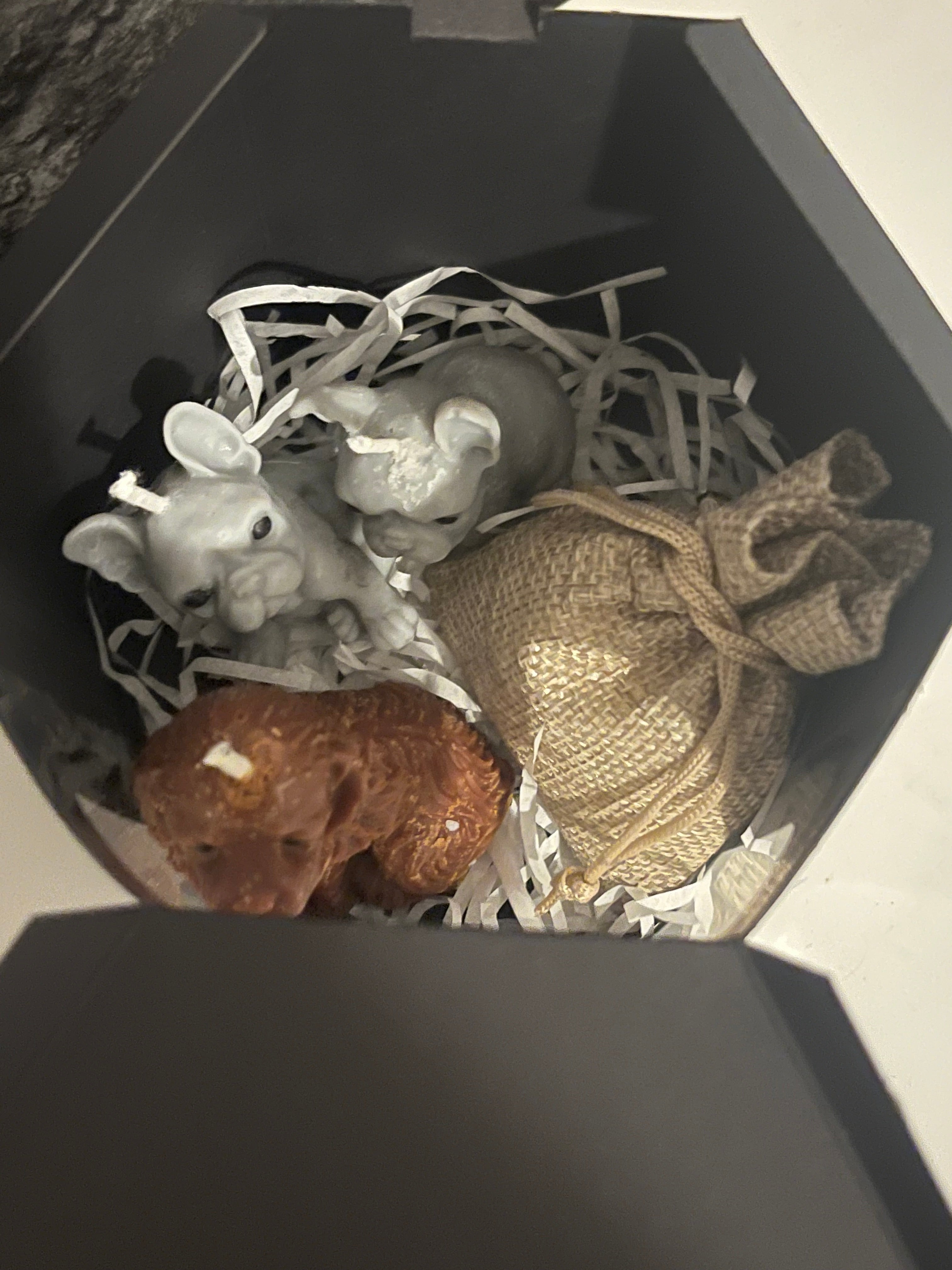 Vegan Highly Scented ‘Dog Pack’ Soy Candles & Wax Melts Set