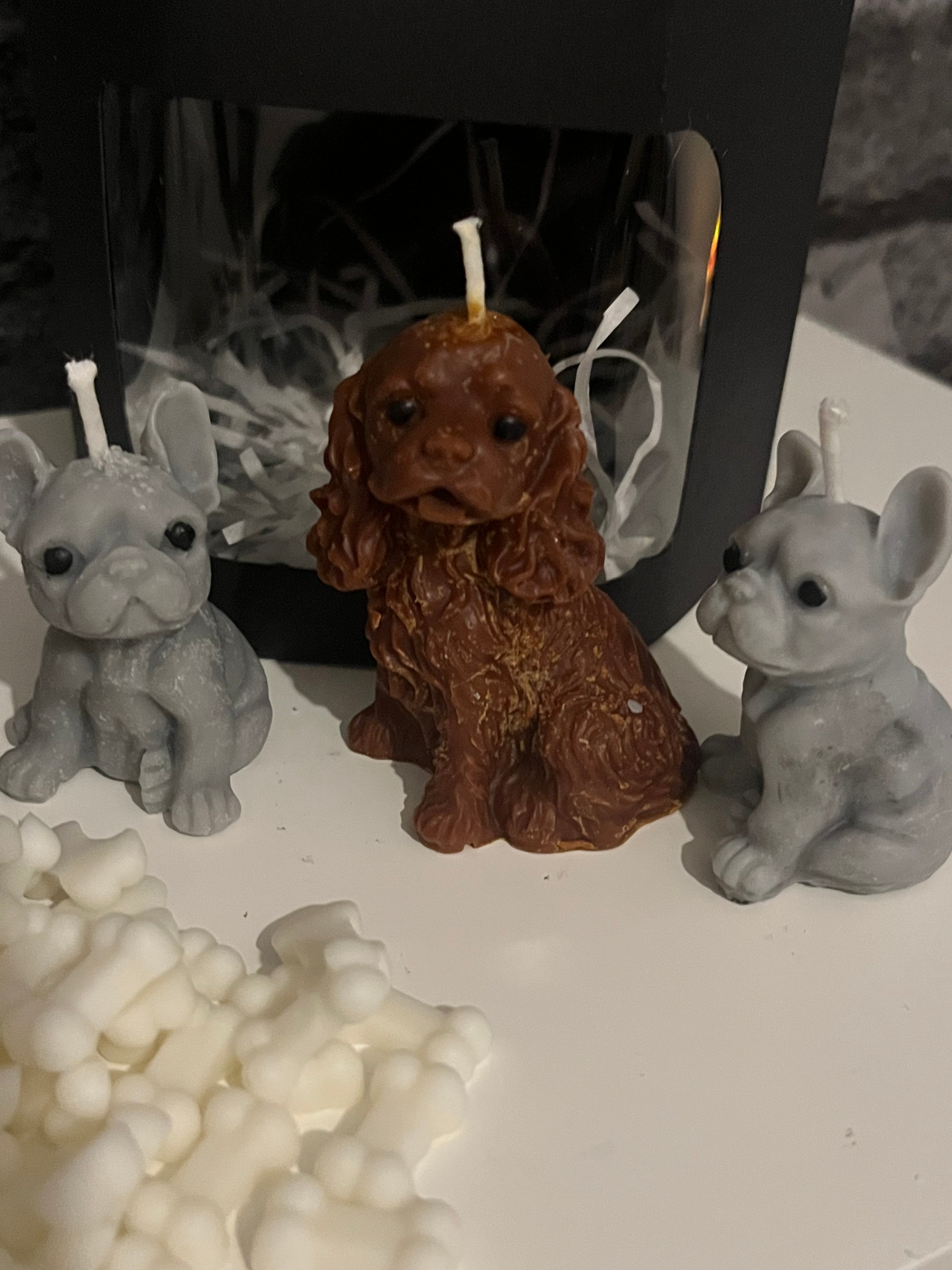 Vegan Highly Scented ‘Dog Pack’ Soy Candles & Wax Melts Set